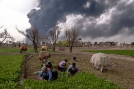 Four farm workers squat as they harvest crops in front of billowing columns of dark gray smoke from airstrikes on Iran. Fields and a few low trees stretch on to the horizon.
